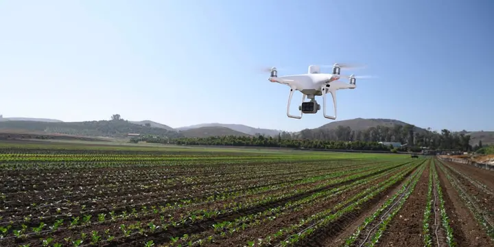 Phantom 4 Multiespectral sensor