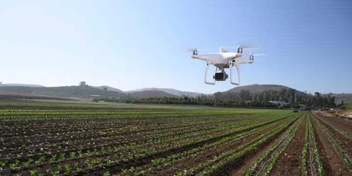 Phantom 4 Multiespectral sensor